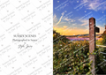 Sussex Scenes – Phacelia Fields Sunset Greeting Card