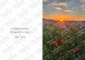 Sussex Sunset – Phacelia Fields Greeting Card