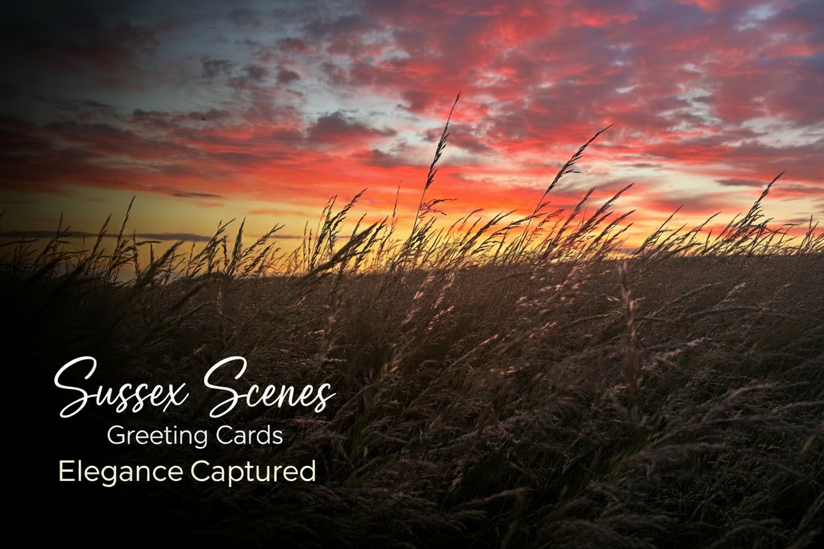 Sussex Scenes Hero Banner with text area