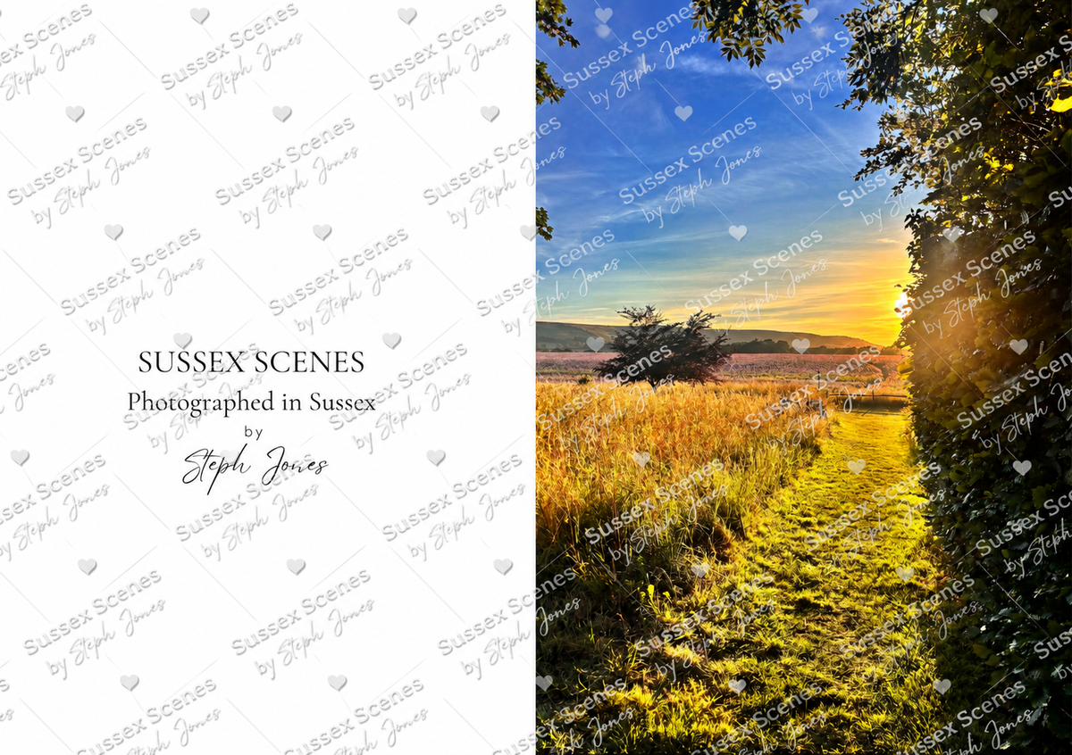 Sussex Scenes Golden Hour Meadow Path Greeting Card
