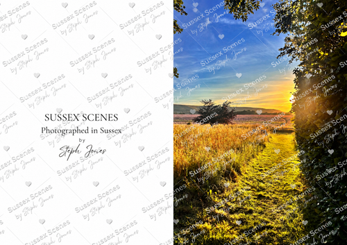 Sussex Scenes Golden Hour Meadow Path Greeting Card